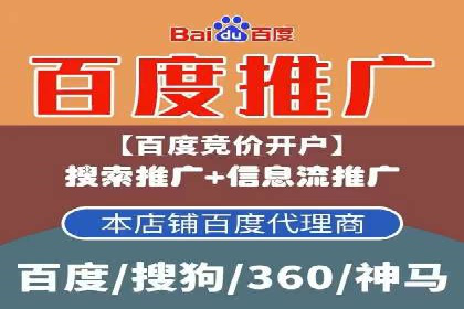 竞价广告的投放技巧与网络推广的实践